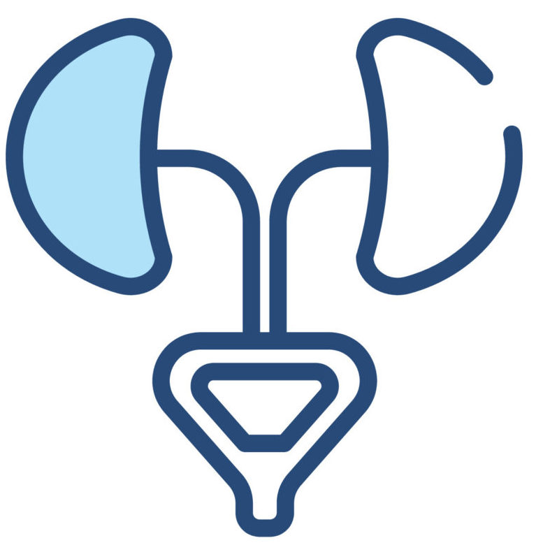 urology concept 2 colored icon. simple line element illustration. outline blue urology symbol. can be used for web and mobile ui/ux.